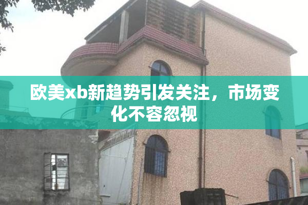 欧美xb新趋势引发关注，市场变化不容忽视