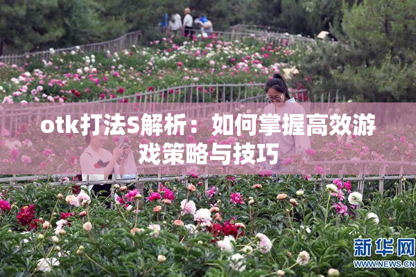 otk打法S解析：如何掌握高效游戏策略与技巧