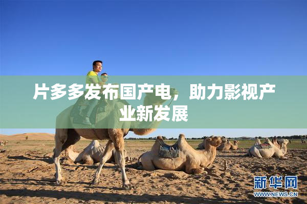 片多多发布国产电，助力影视产业新发展