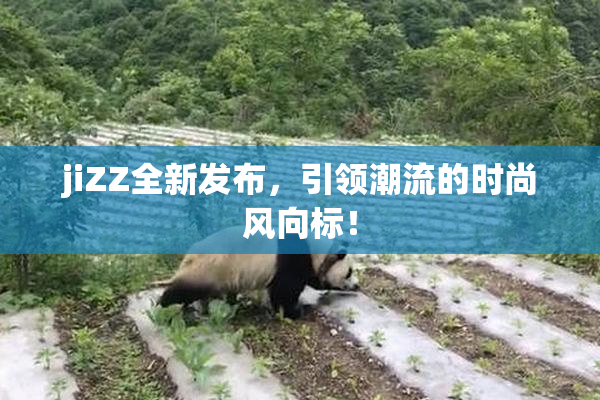 jiZZ全新发布，引领潮流的时尚风向标！