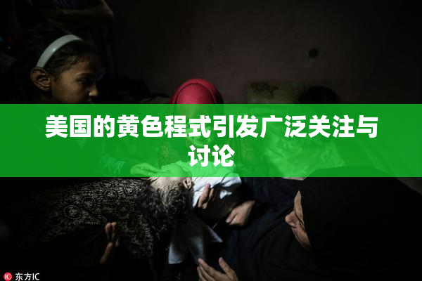 美国的黄色程式引发广泛关注与讨论
