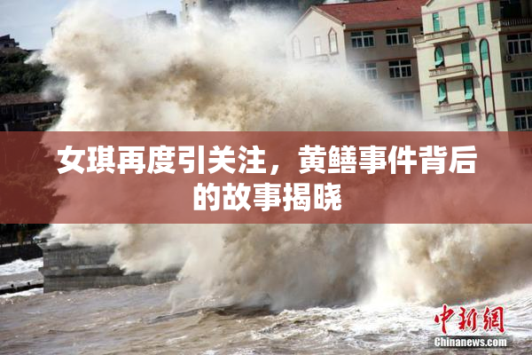 女琪再度引关注，黄鳝事件背后的故事揭晓