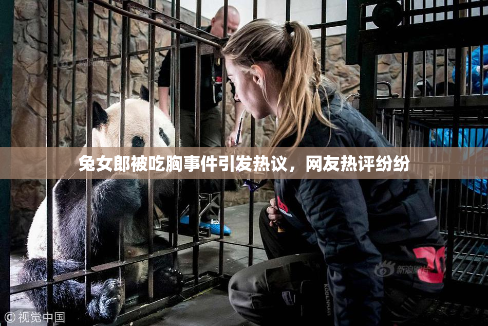 兔女郎被吃胸事件引发热议，网友热评纷纷