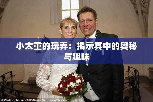 小太重的玩弄：揭示其中的奥秘与趣味