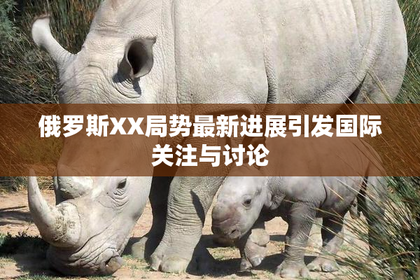 俄罗斯XX局势最新进展引发国际关注与讨论