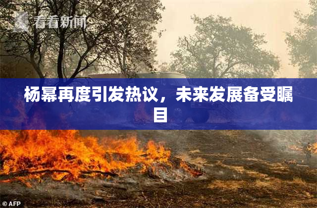 杨幂再度引发热议，未来发展备受瞩目