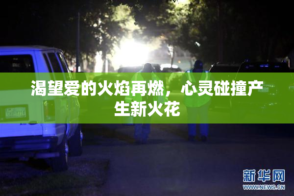 渴望爱的火焰再燃，心灵碰撞产生新火花