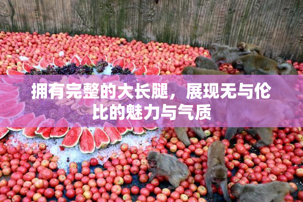 拥有完整的大长腿，展现无与伦比的魅力与气质