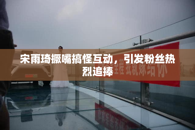 宋雨琦撅嘴搞怪互动，引发粉丝热烈追捧