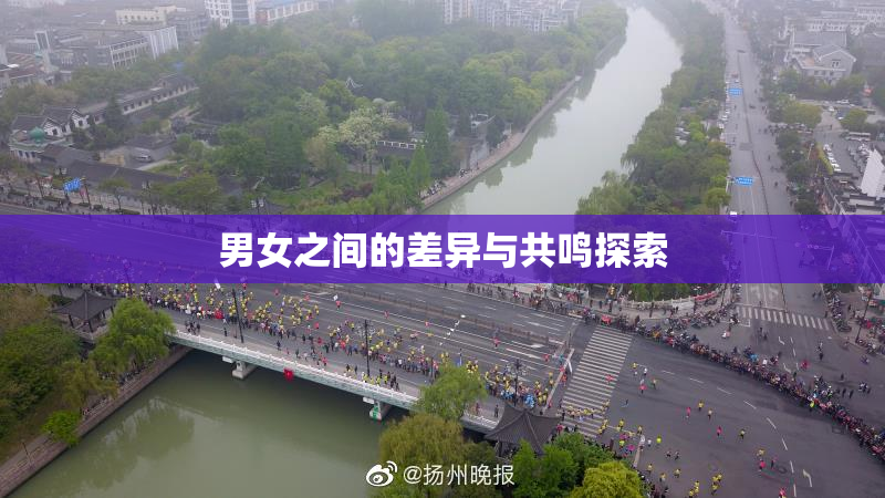 男女之间的差异与共鸣探索
