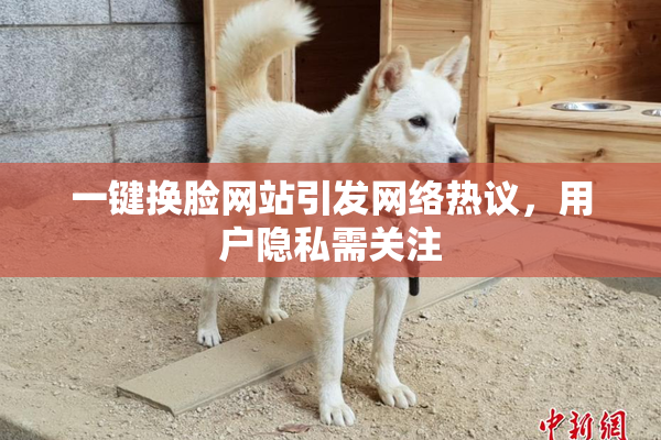 一键换脸网站引发网络热议，用户隐私需关注