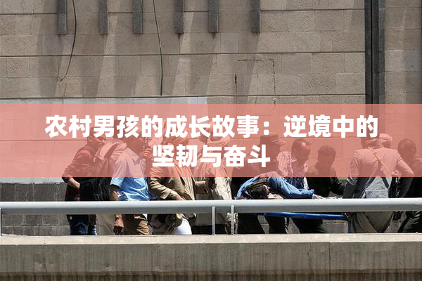 农村男孩的成长故事：逆境中的坚韧与奋斗