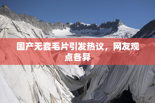 国产无套毛片引发热议，网友观点各异