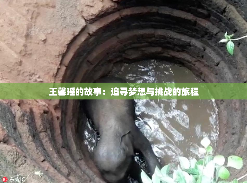 王馨瑶的故事：追寻梦想与挑战的旅程