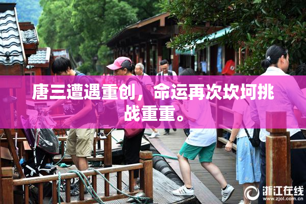 唐三遭遇重创，命运再次坎坷挑战重重。