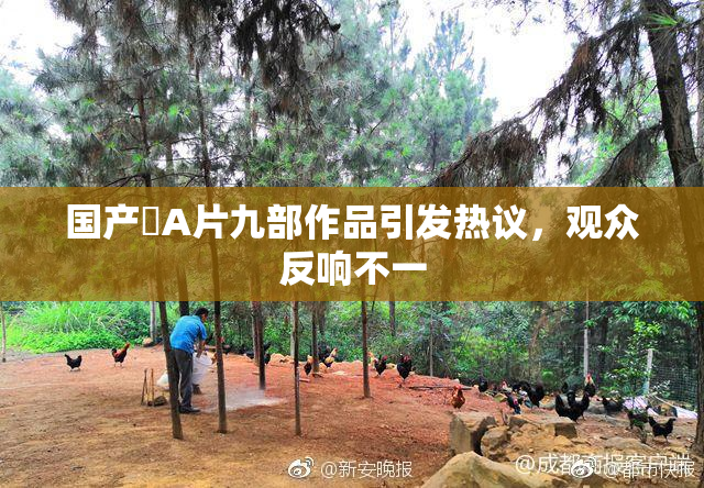 国产婬A片九部作品引发热议，观众反响不一