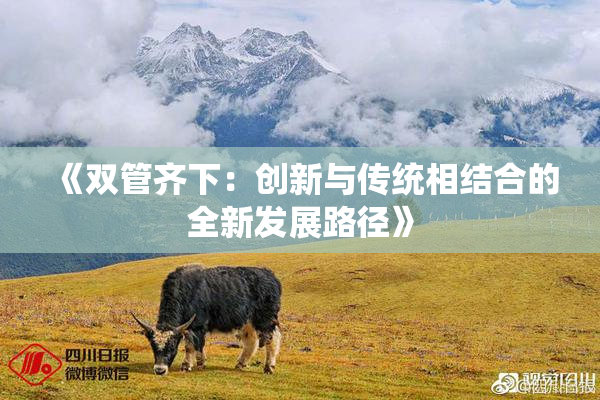 《双管齐下：创新与传统相结合的全新发展路径》