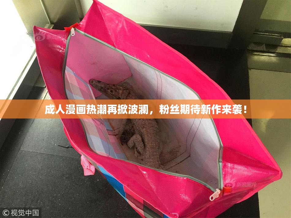成人漫画热潮再掀波澜，粉丝期待新作来袭！