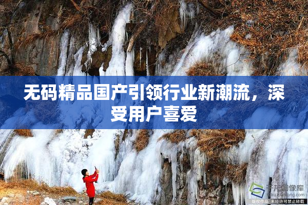 无码精品国产引领行业新潮流，深受用户喜爱