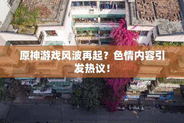 原神游戏风波再起？色情内容引发热议！