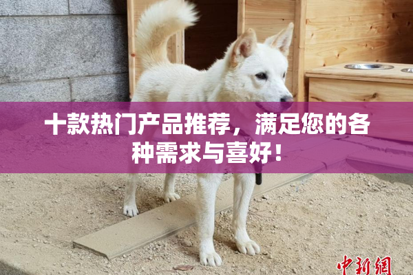 十款热门产品推荐，满足您的各种需求与喜好！
