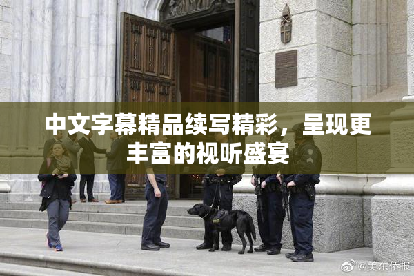 中文字幕精品续写精彩，呈现更丰富的视听盛宴