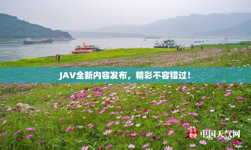 JAV全新内容发布，精彩不容错过！