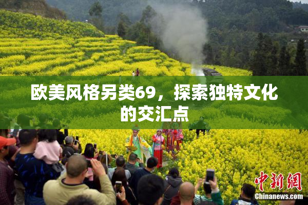 欧美风格另类69，探索独特文化的交汇点