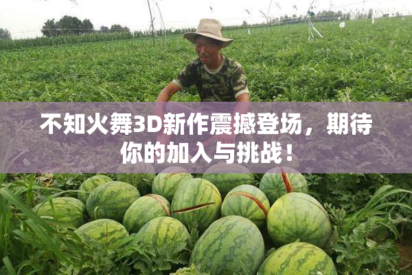 不知火舞3D新作震撼登场，期待你的加入与挑战！