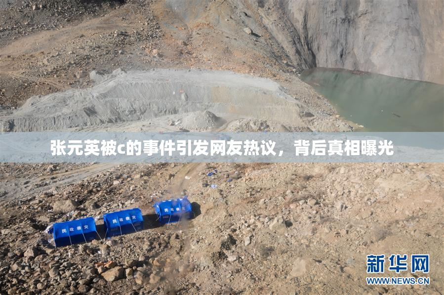 张元英被c的事件引发网友热议，背后真相曝光