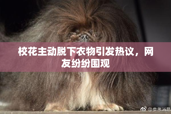 校花主动脱下衣物引发热议，网友纷纷围观