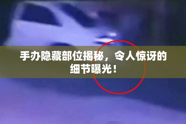 手办隐藏部位揭秘，令人惊讶的细节曝光！