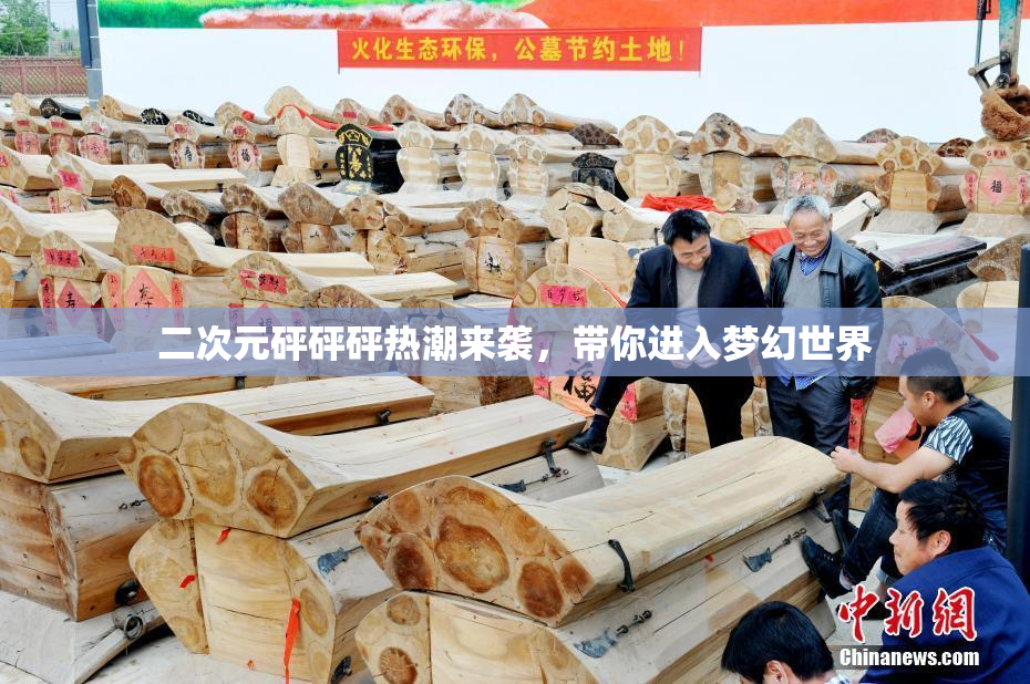 二次元砰砰砰热潮来袭，带你进入梦幻世界