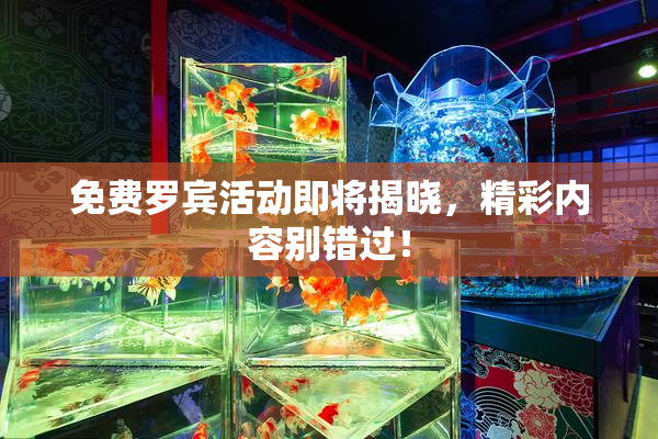 免费罗宾活动即将揭晓，精彩内容别错过！
