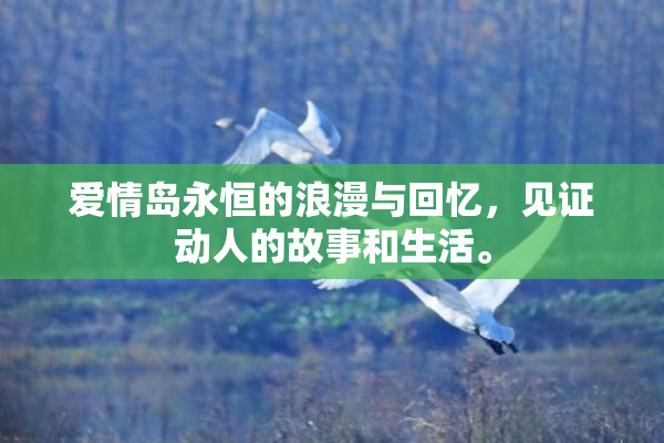 爱情岛永恒的浪漫与回忆，见证动人的故事和生活。