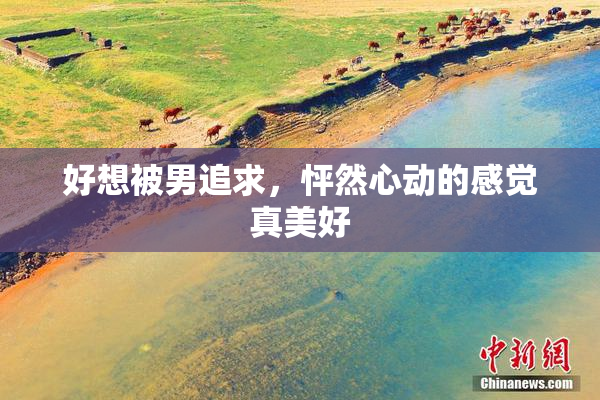 好想被男追求，怦然心动的感觉真美好