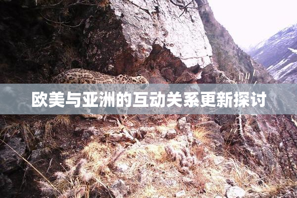 欧美与亚洲的互动关系更新探讨