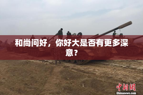 和尚问好，你好大是否有更多深意？