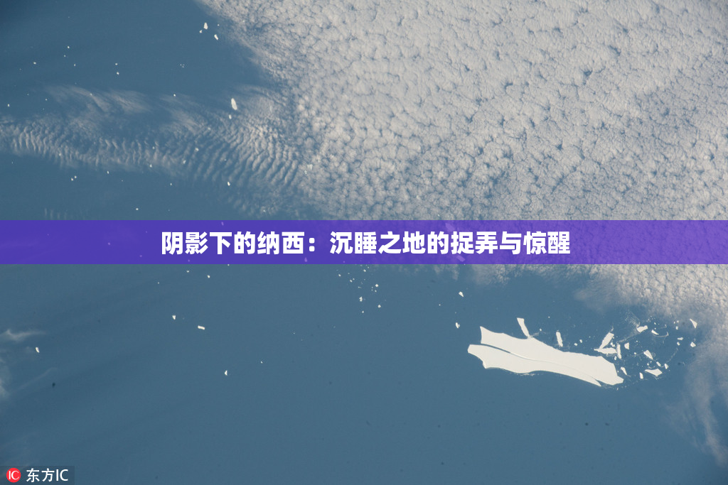 阴影下的纳西：沉睡之地的捉弄与惊醒