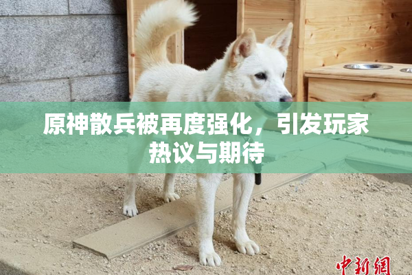 原神散兵被再度强化，引发玩家热议与期待