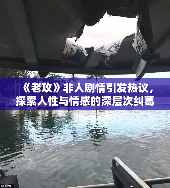 《老攻》非人剧情引发热议，探索人性与情感的深层次纠葛