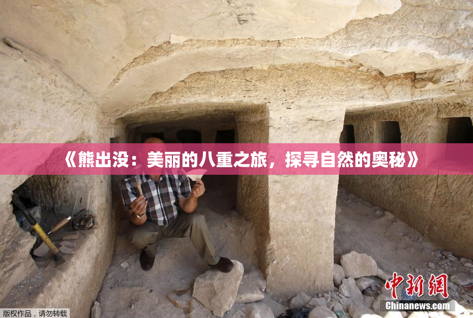 《熊出没：美丽的八重之旅，探寻自然的奥秘》
