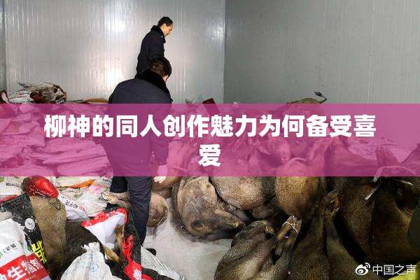 柳神的同人创作魅力为何备受喜爱