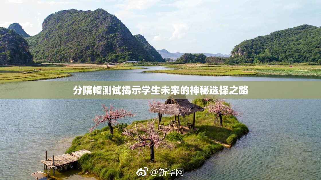 分院帽测试揭示学生未来的神秘选择之路