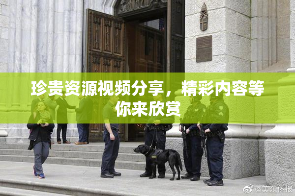 珍贵资源视频分享，精彩内容等你来欣赏