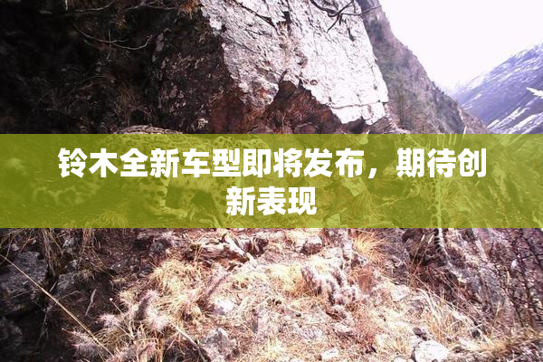 铃木全新车型即将发布，期待创新表现