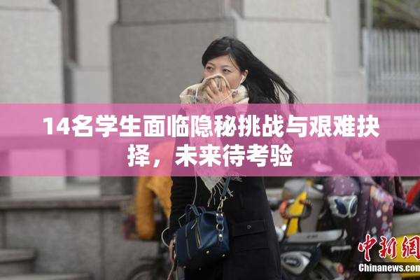 14名学生面临隐秘挑战与艰难抉择，未来待考验