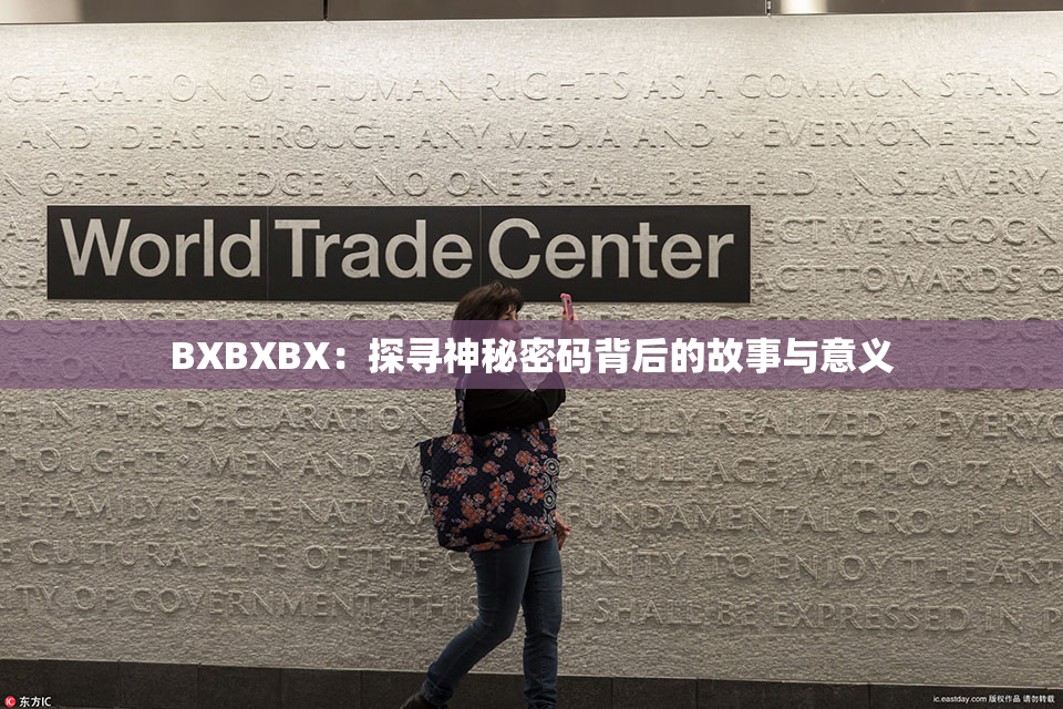 BXBXBX：探寻神秘密码背后的故事与意义