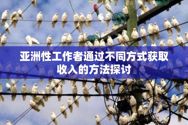 亚洲性工作者通过不同方式获取收入的方法探讨