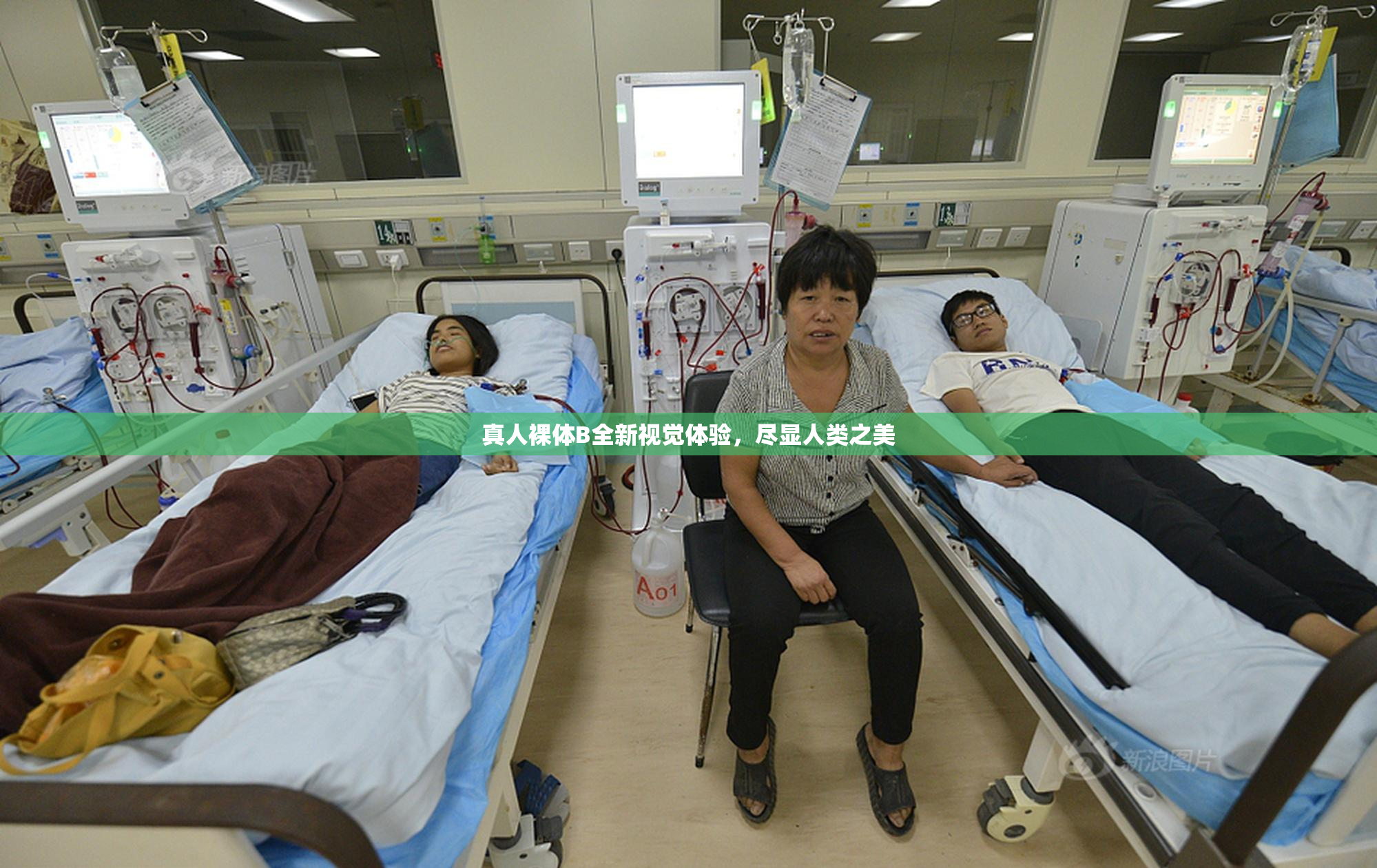 真人裸体B全新视觉体验，尽显人类之美